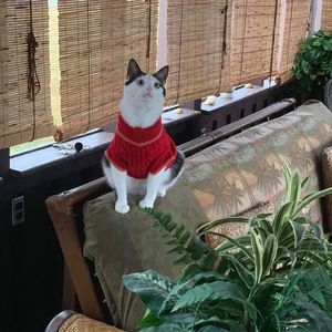 Meet your Posher, Lesia